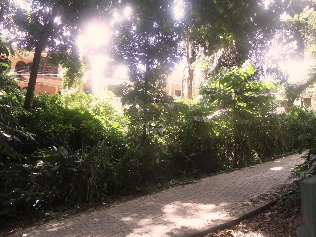 Forest View Homestay Kandy Bagian luar foto